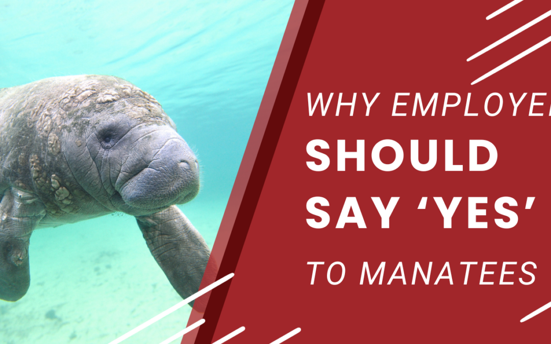 Why Employers Should Say ‘Yes’ to Manatees